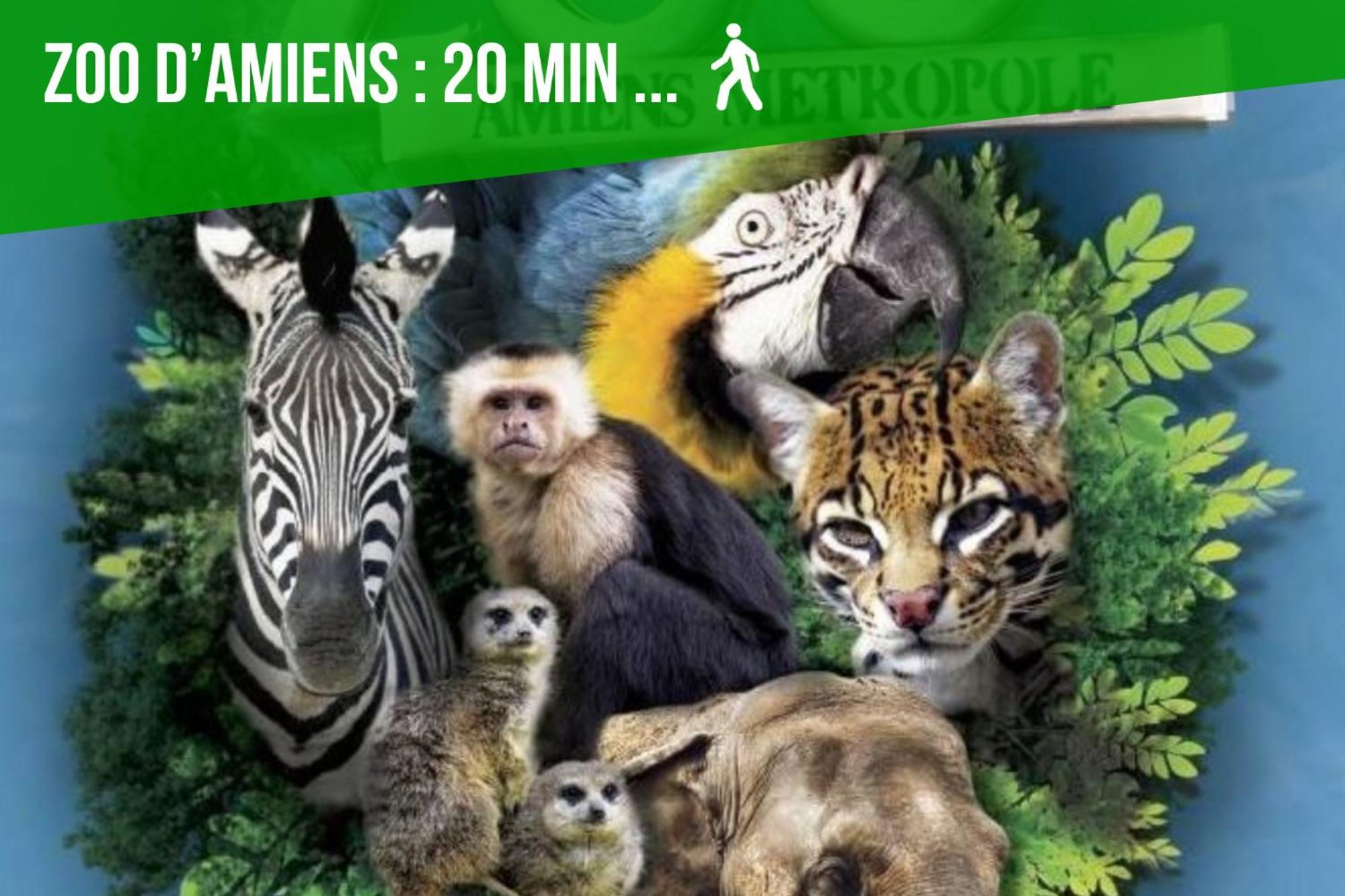 Duplex Safari Jusqu'A 4 Personnes, Spa, Cinema Et Lit Sous Les Arbres, Day Use, 10 Min Centre 아미앵 외부 사진